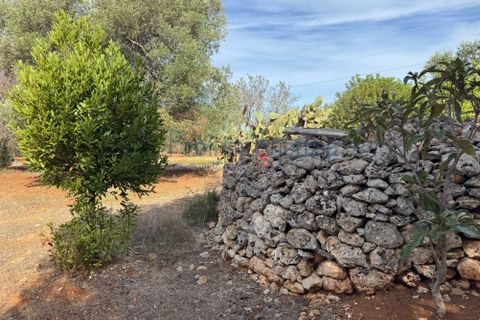 Helårsgrund i Carovigno, Brindisi, Carovigno - € 68.000 | Ref: 122778 - foto 12